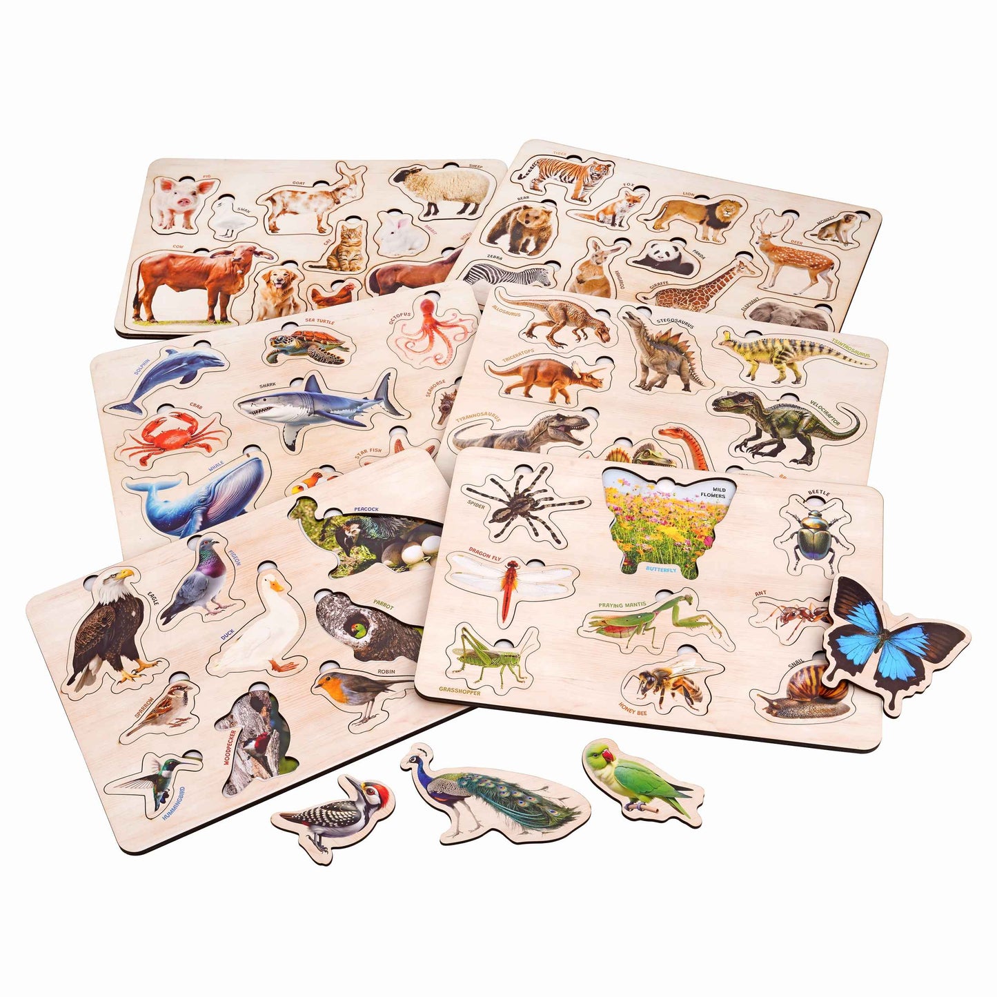 Wooden Educational Puzzle Set for Kids 3+ (Set of 6)