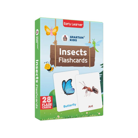 Insect Flash Cards | 27 Early Learning for Kids