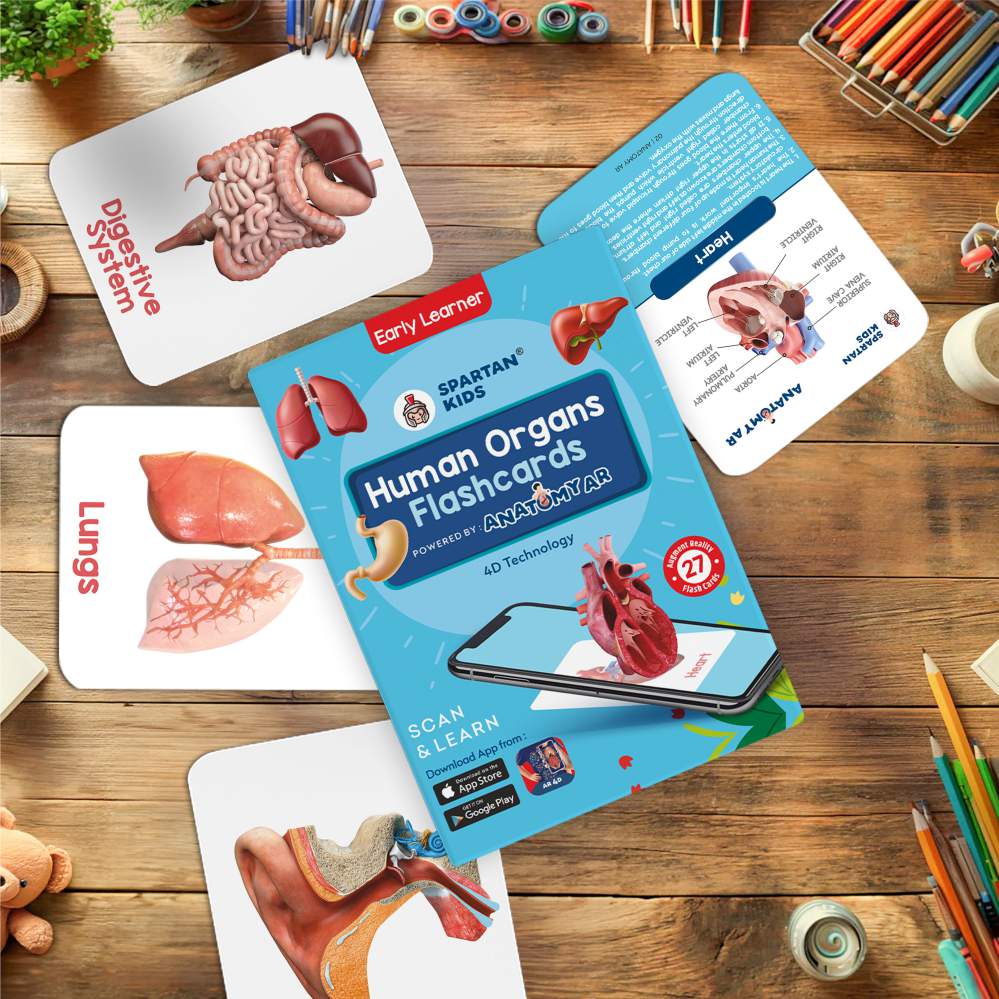 Human Organs Flash Cards – Augmented Reality Based Flash Cards