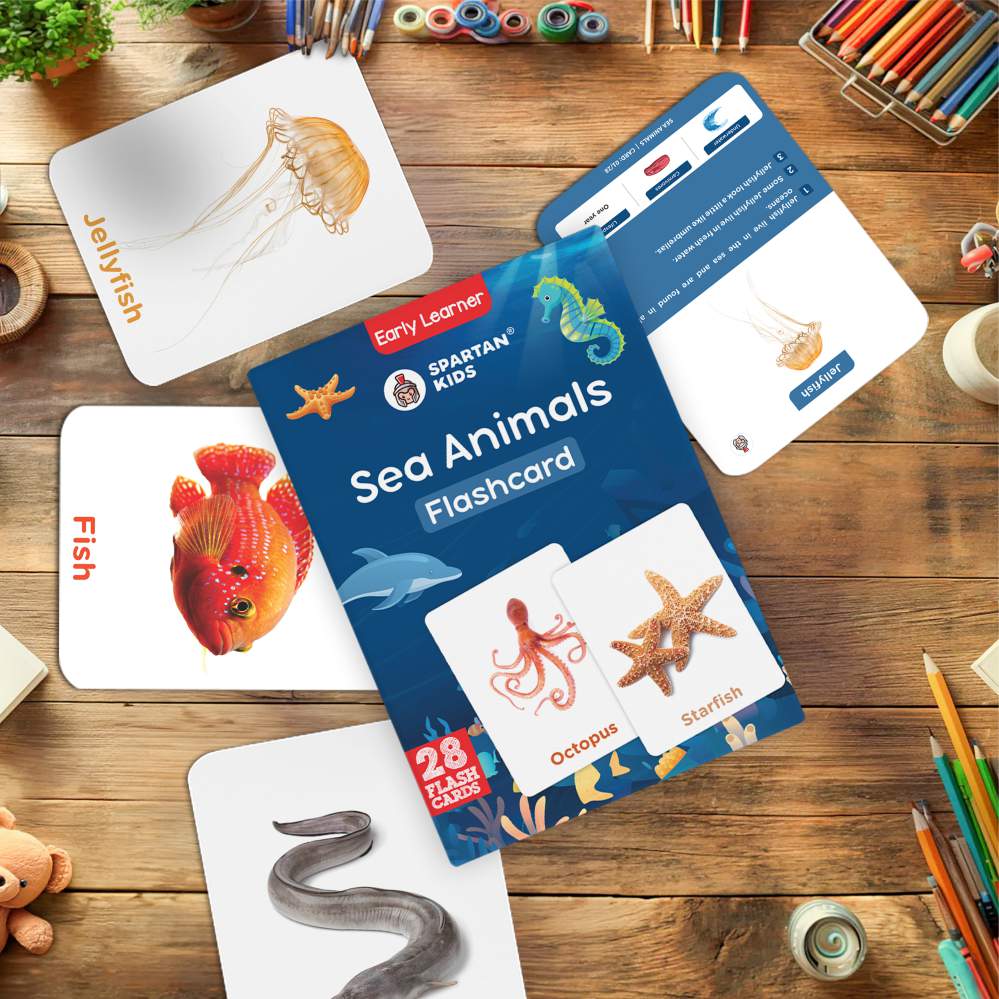 Vibrant Sea Animals Flash Cards | 27 Early Learning for Kids