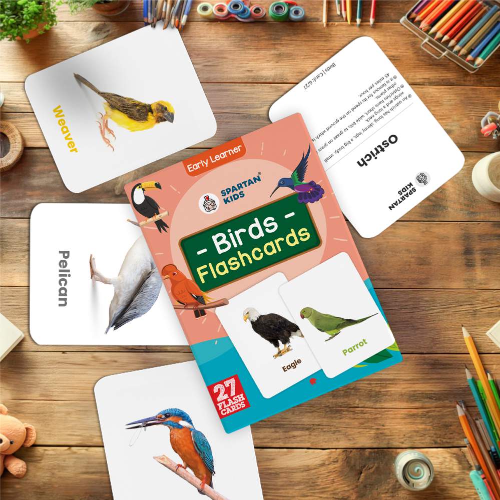 Birds Flash Cards | 27 Early Learning Flash Cards for Kids