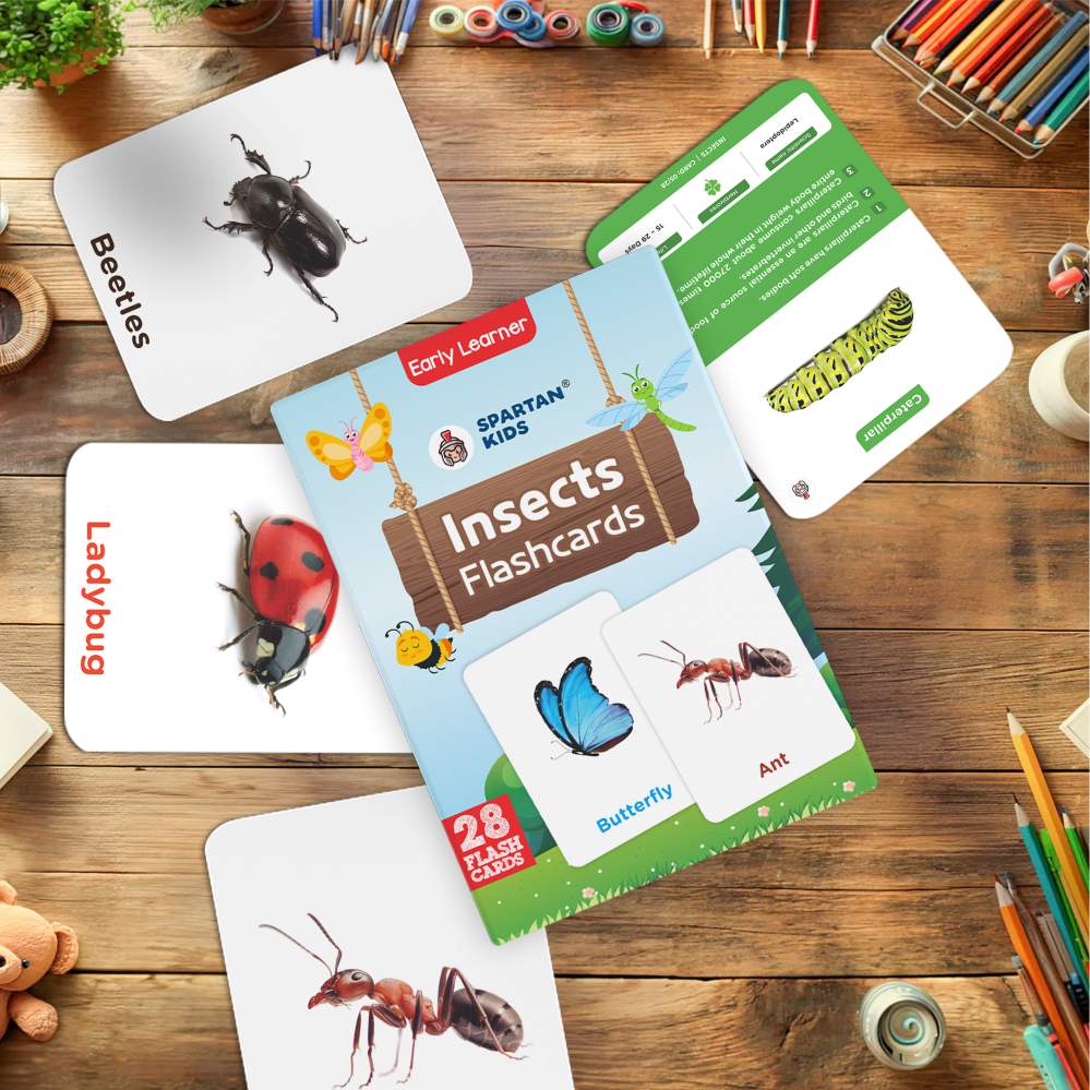 Insect Flash Cards | 27 Early Learning for Kids