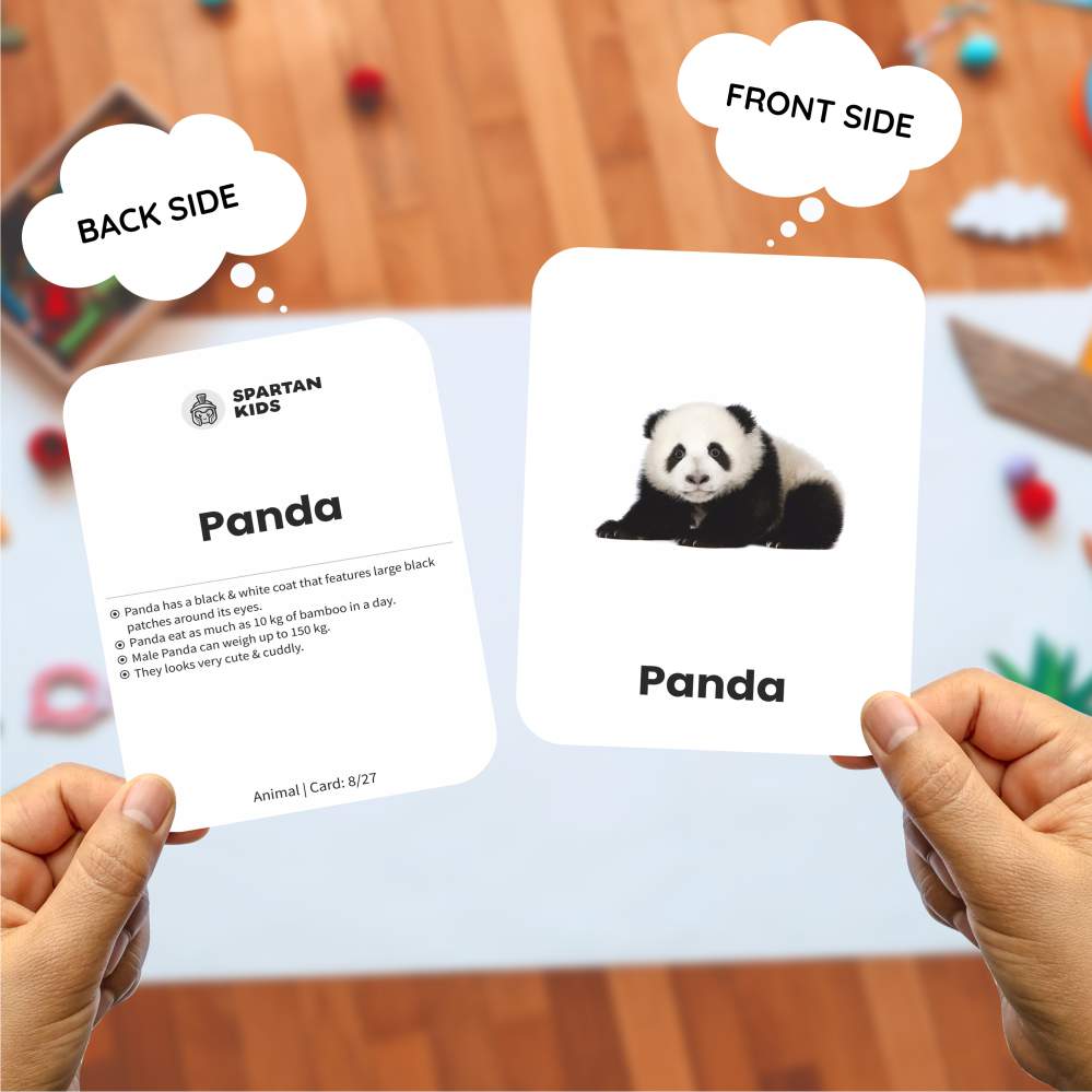 Animal Flash Cards | 27 Early Learning Flash Cards for Kids