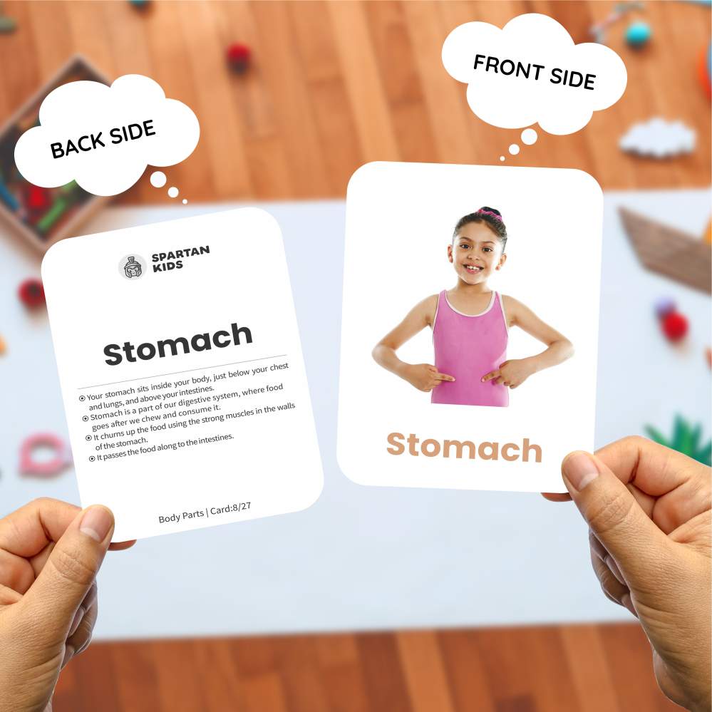 Body Parts Flash Cards | 27 Early Learning Flash Cards for Kids