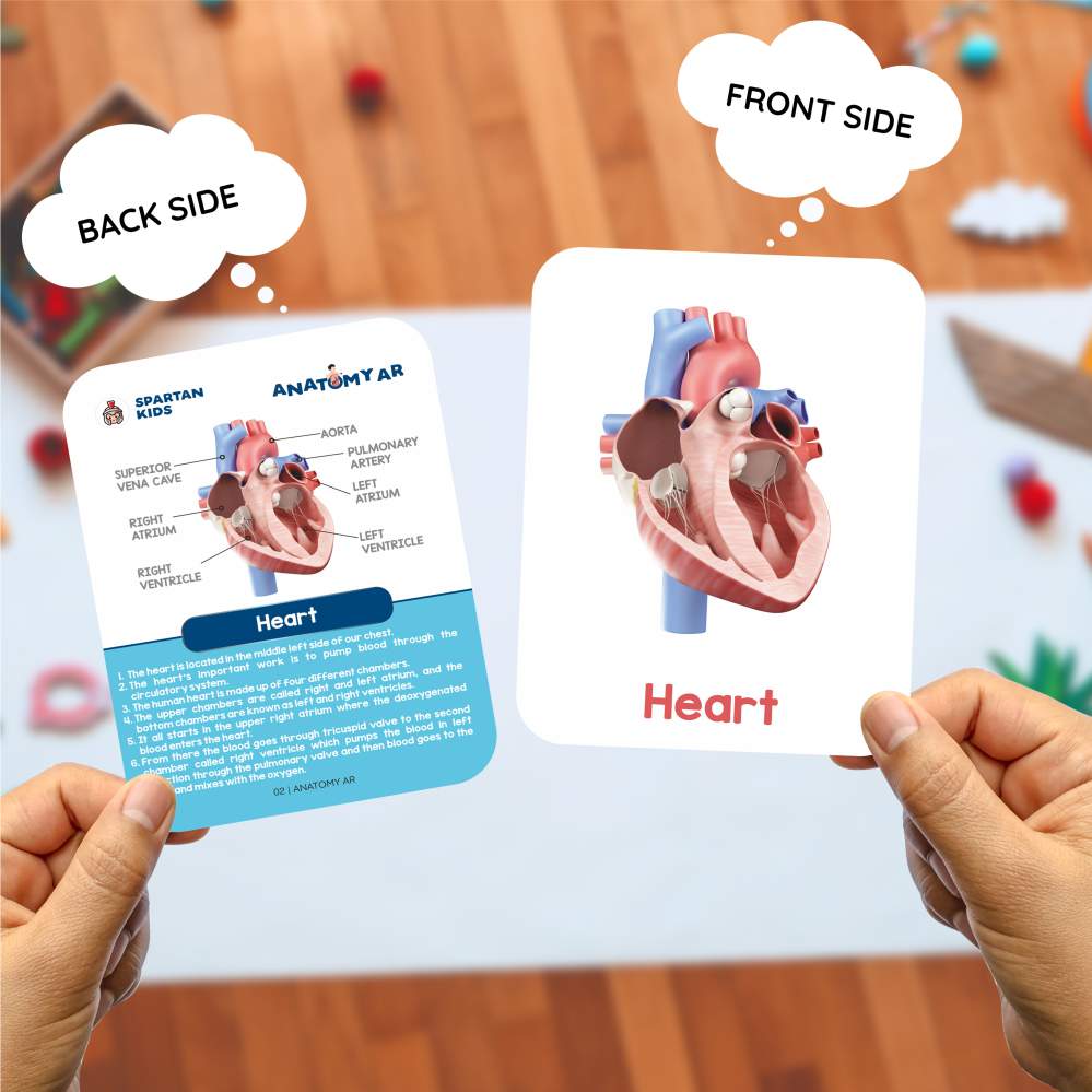 Human Organs Flash Cards – Augmented Reality Based Flash Cards