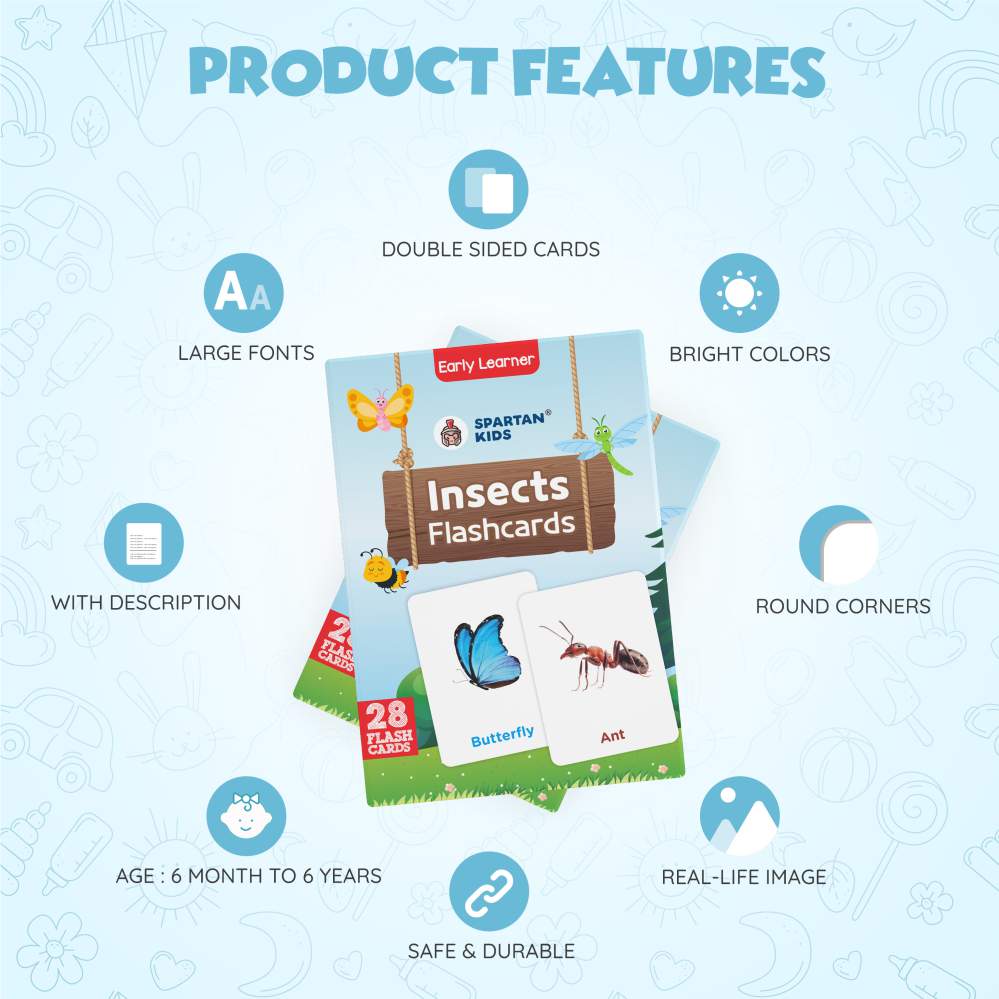 Insect Flash Cards | 27 Early Learning for Kids