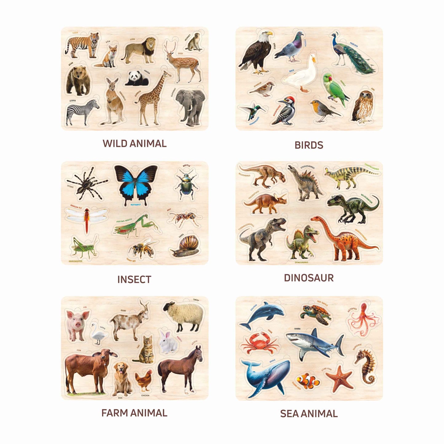 Wooden Educational Puzzle Set for Kids 3+ (Set of 6)