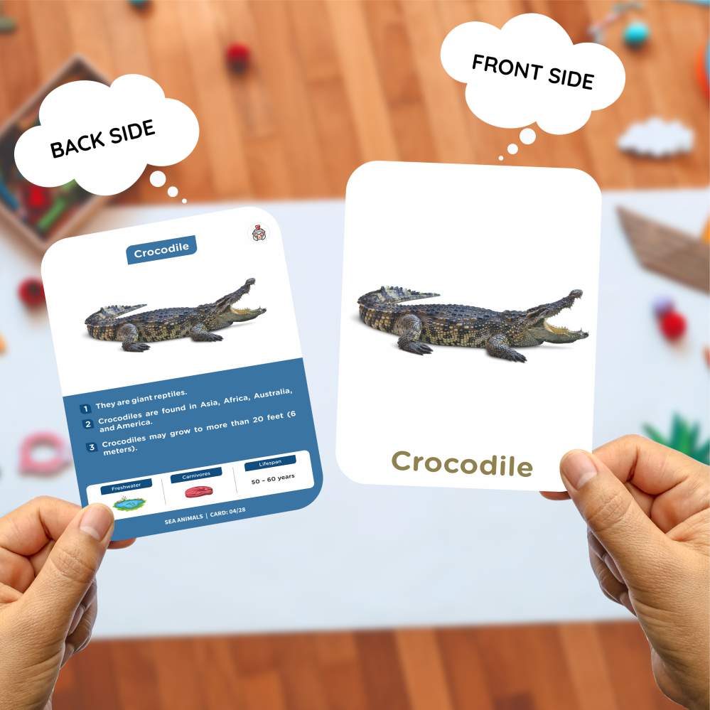 Vibrant Sea Animals Flash Cards | 27 Early Learning for Kids
