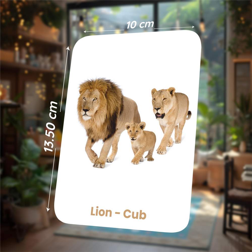 Animal & Their Babies Flash Cards | 27 Early Learning Flash Cards for Kids