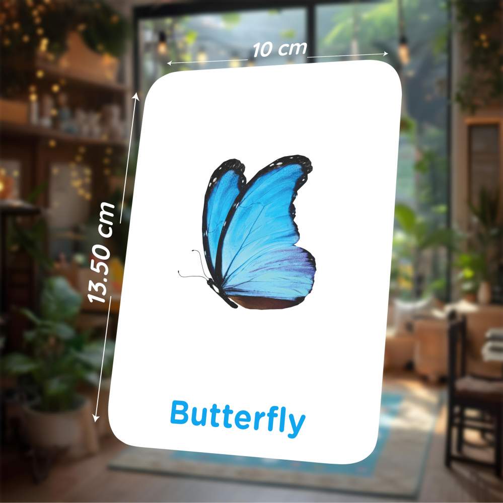 Insect Flash Cards | 27 Early Learning for Kids