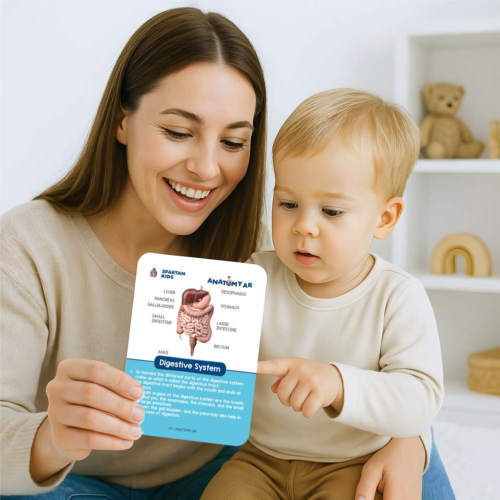 Human Organs Flash Cards – Augmented Reality Based Flash Cards