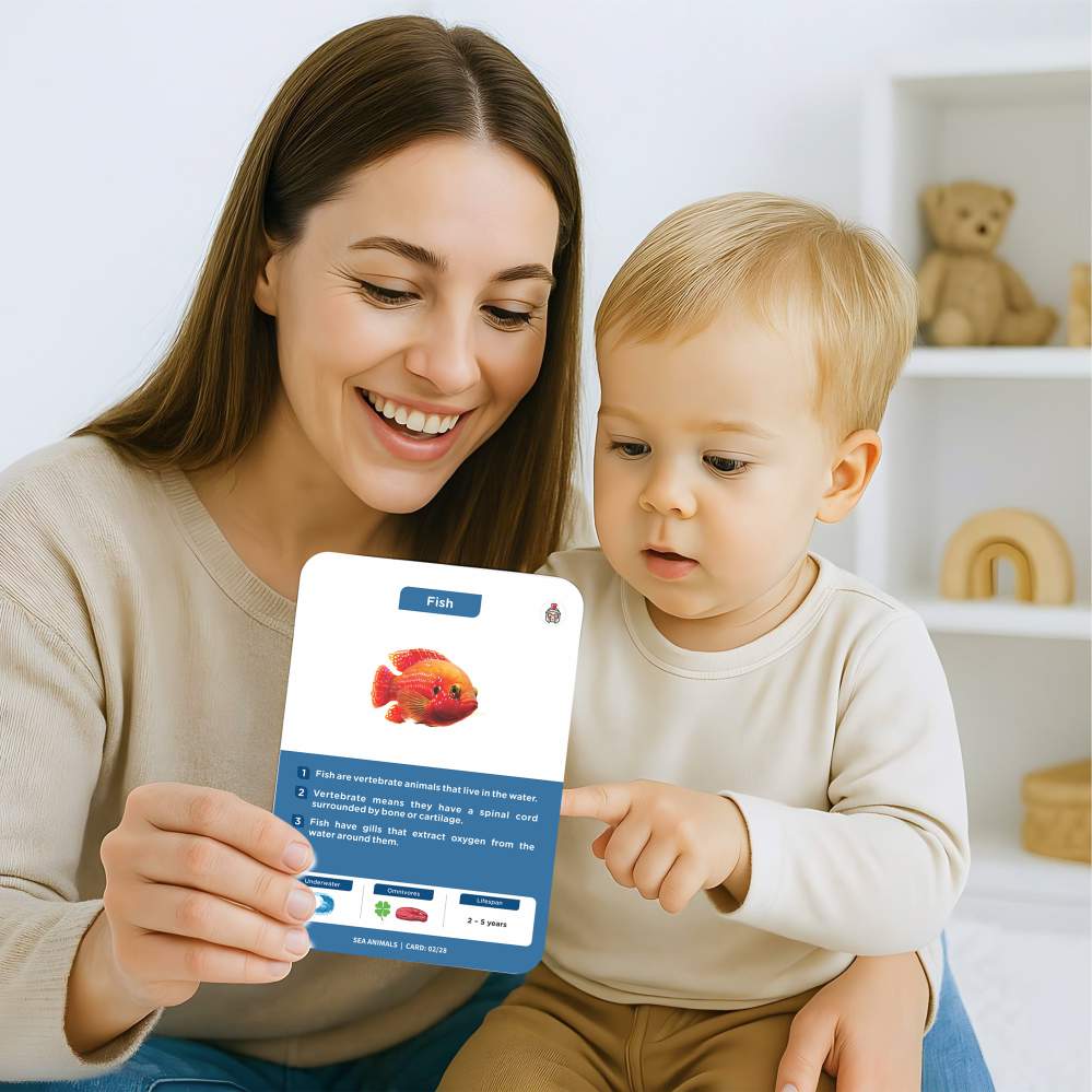 Vibrant Sea Animals Flash Cards | 27 Early Learning for Kids