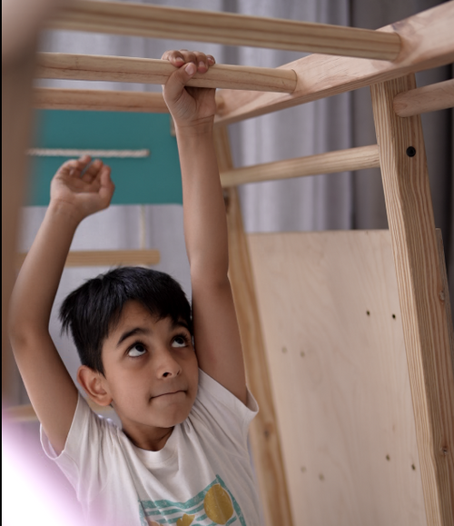 Monkey Bars