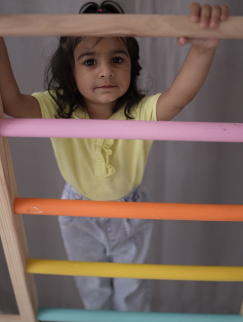 Wooden Ladder