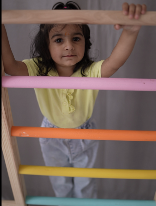 Wooden Ladder