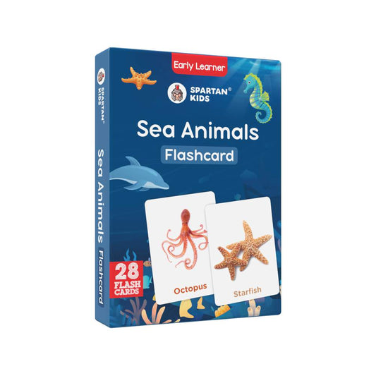 Vibrant Sea Animals Flash Cards | 27 Early Learning for Kids
