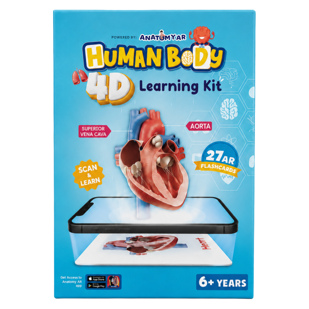 Spartan Kids Human Body 4D Learning Kit with 27 AR Flash Cards, Augmented Reality Anatomy Educational Toy, Voice Narration and 360 Degree View, STEM Science Gift for Boys and Girls Age 6+