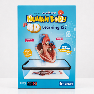 Spartan Kids Human Body 4D Learning Kit with 27 AR Flash Cards, Augmented Reality Anatomy Educational Toy, Voice Narration and 360 Degree View, STEM Science Gift for Boys and Girls Age 6+