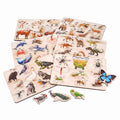 Wooden Educational Puzzle Set for Kids 3+ (Set of 6)