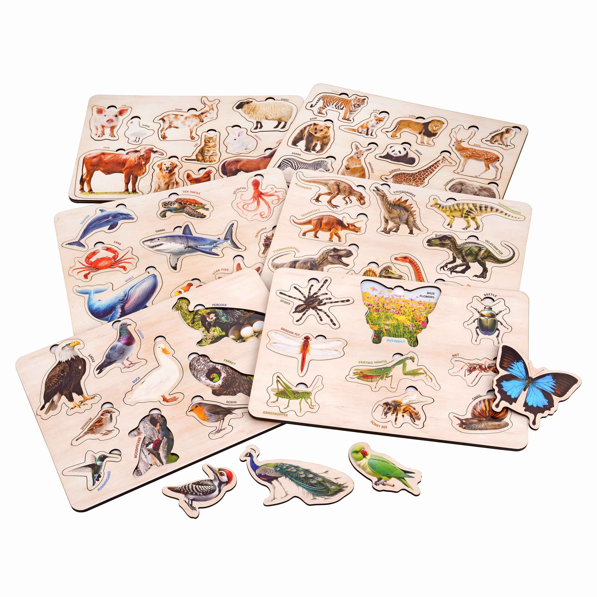 Wooden Educational Puzzle Set for Kids 3+ (Set of 6)