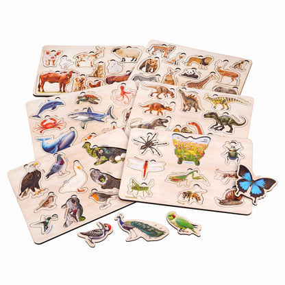 Wooden Educational Puzzle Set for Kids 3+ (Set of 6)