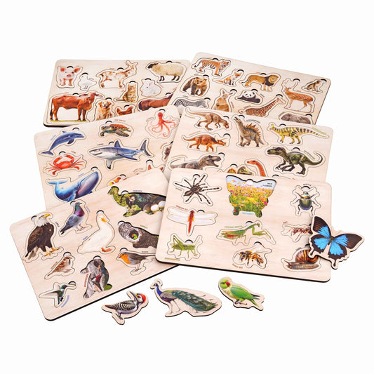Wooden Educational Puzzle Set for Kids 3+ (Set of 6)
