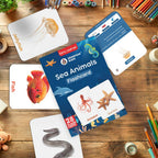 Sea Animals Flash Cards | 27 Early Learning for Kids