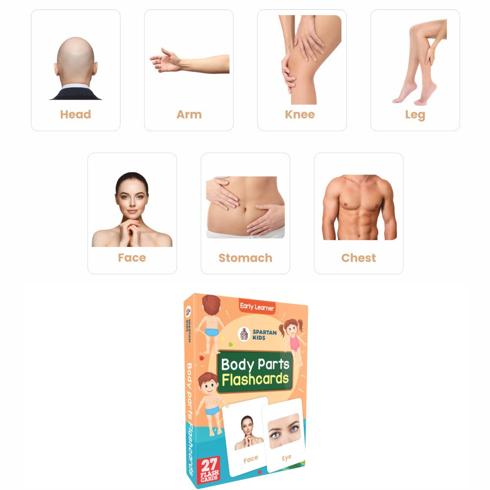 Body Parts Flash Cards | 27 Early Learning Flash Cards for Kids