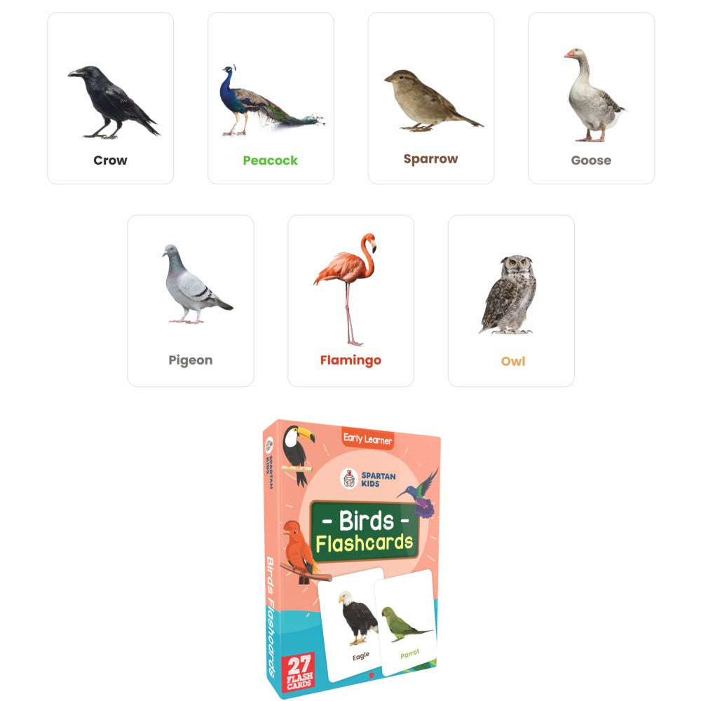 Birds Flash Cards | 27 Early Learning Flash Cards for Kids