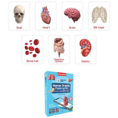 Human Organs Flash Cards – Augmented Reality Based Flash Cards