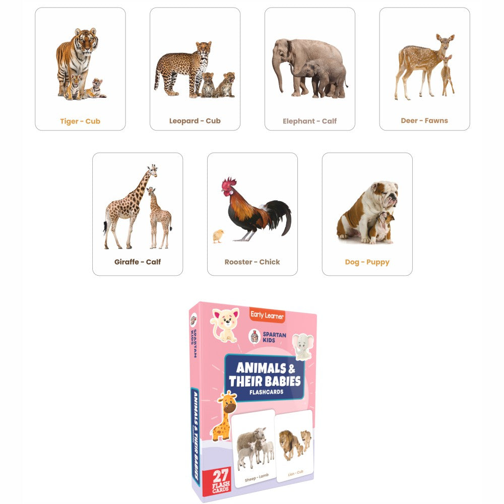 Animal & Their Babies Flash Cards | 27 Early Learning Flash Cards for Kids