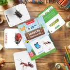 Insect Flash Cards | 27 Early Learning for Kids