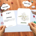 Spartan Kids Flower Flashcards for Kids | 27 Flower Learning Cards | Ages 6 Months–6 Years