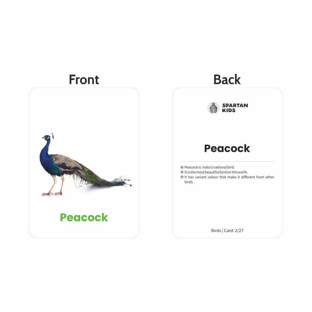 Birds Flash Cards | 27 Early Learning Flash Cards for Kids