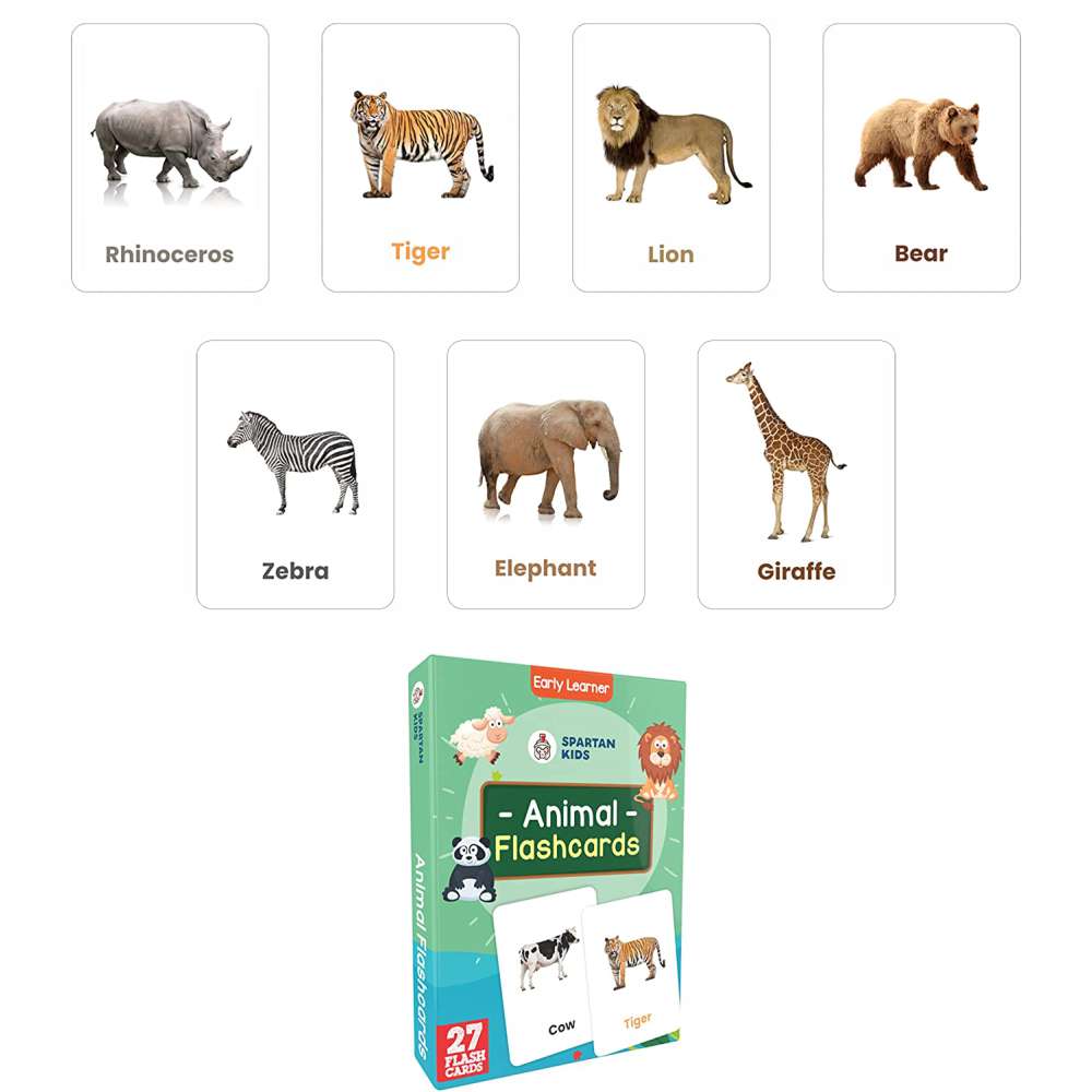 Spartan Kids Early Learning (Set of 15) Flash Cards for Kids