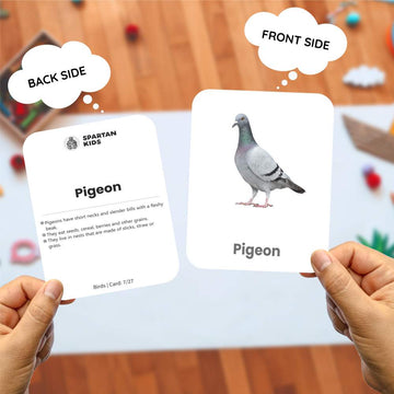 Birds Flashcards for Kids – 27 Bird Names with Pictures (Ages 2-6)