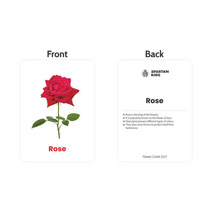 Flowers Flash Cards | 27 Early Learning Flash Cards for Kids