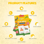 Our India Flash Cards | 27 Early Learning for Kids