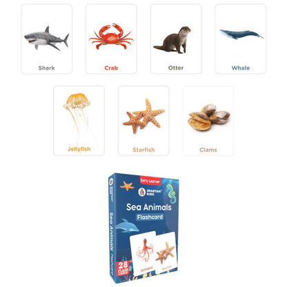 Spartan Kids Early Learning Flash Cards(Set of 25) for Kids