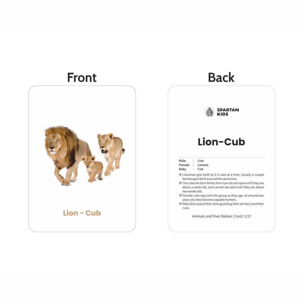 Animal & Their Babies Flash Cards | 27 Early Learning Flash Cards for Kids