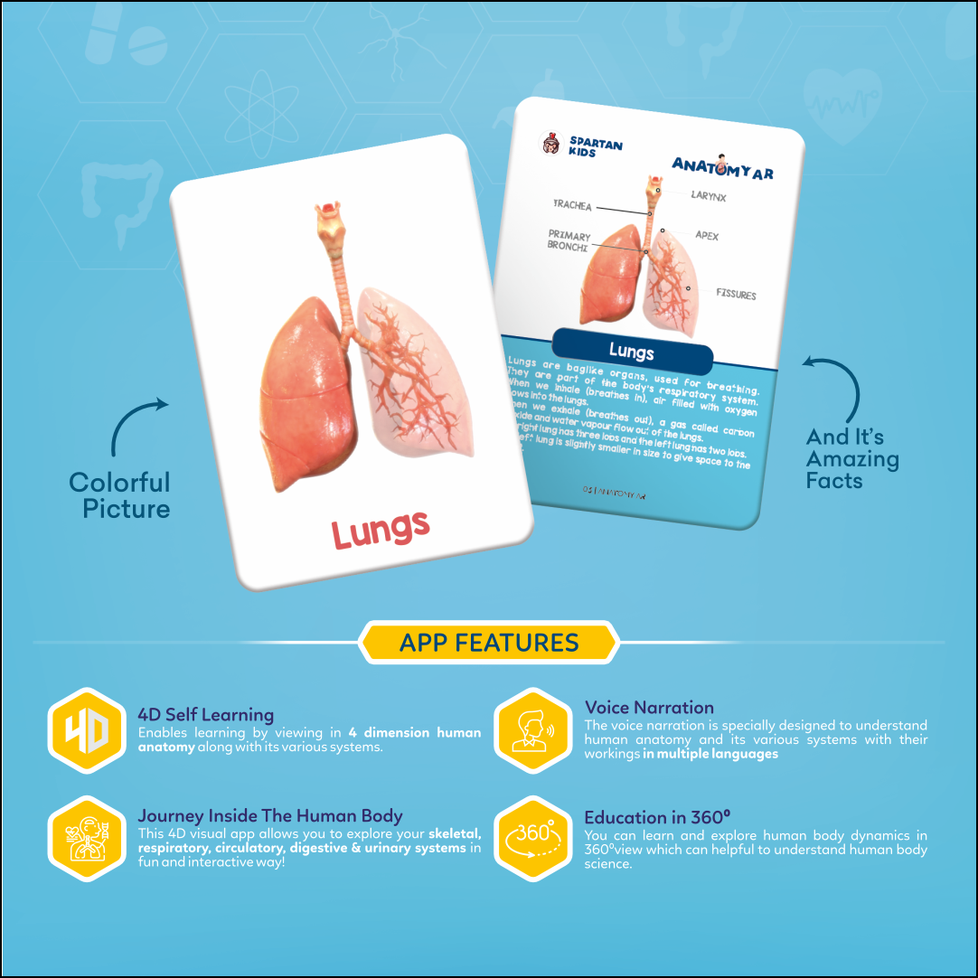 Spartan Kids Human Body 4D Learning Kit with 27 AR Flash Cards, Augmented Reality Anatomy Educational Toy, Voice Narration and 360 Degree View, STEM Science Gift for Boys and Girls Age 6+
