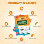 Numbers Flash Cards | 27 Early Learning for Kids