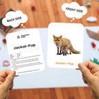 Animals & Their Babies Flashcards – 27 Picture Cards for Kids (Ages 2-6)