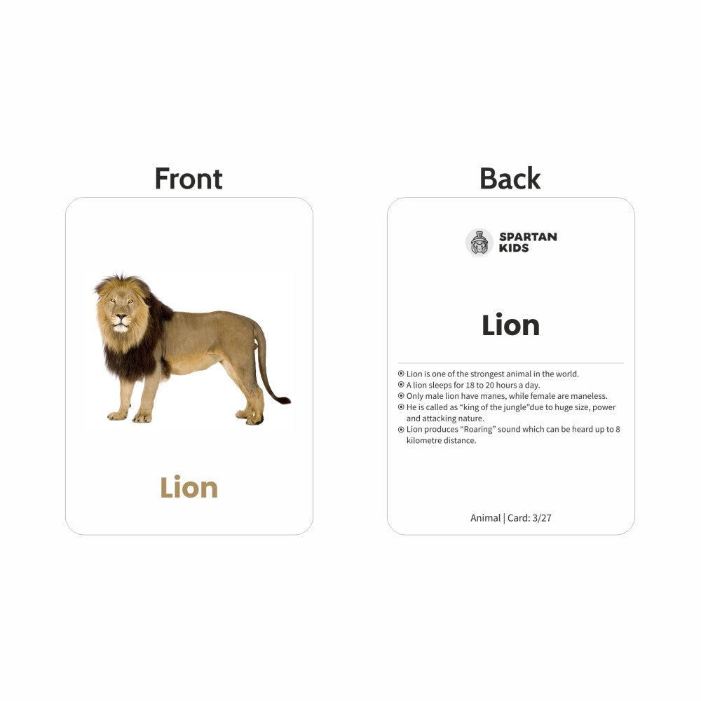 Animal Flash Cards | 27 Early Learning Flash Cards for Kids