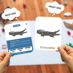 Sea Animals Flash Cards | 27 Early Learning for Kids