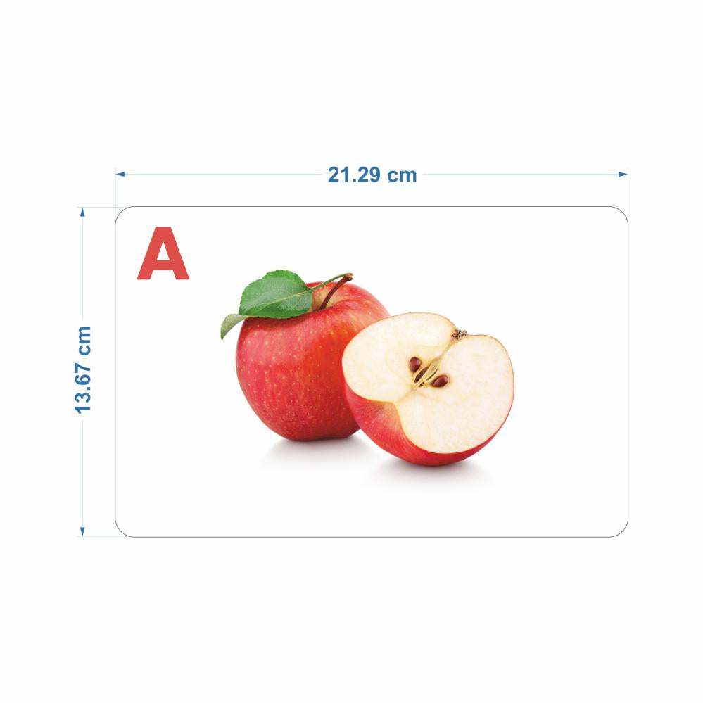 SPARTAN KIDS® Jumbo Alphabet Flash Cards | Engaging ABC Learning