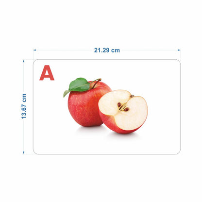 SPARTAN KIDS® Jumbo Alphabet Flash Cards | Engaging ABC Learning