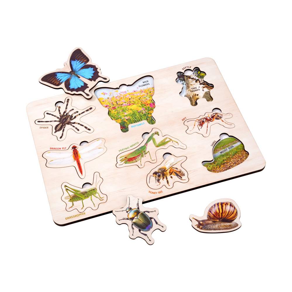 Wooden Birds & Insect 3D Puzzle Set for Kids 3+ (Set of 2)