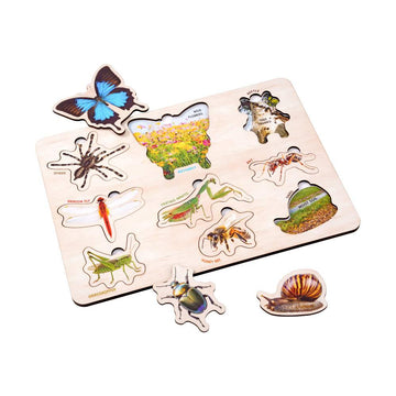 Wooden Birds & Insect 3D Puzzle Set for Kids 3+ (Set of 2)