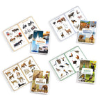 Picture Books Collection Wipe and Clean (Set of 12)